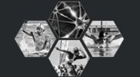 Visit Performance Rx Sports Care
